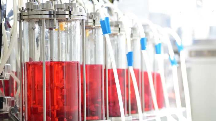 早稲田製薬の施設画像-2